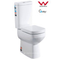 Western Style White Color Ceramic Washdown Toilet Two-Piece (A-3887)